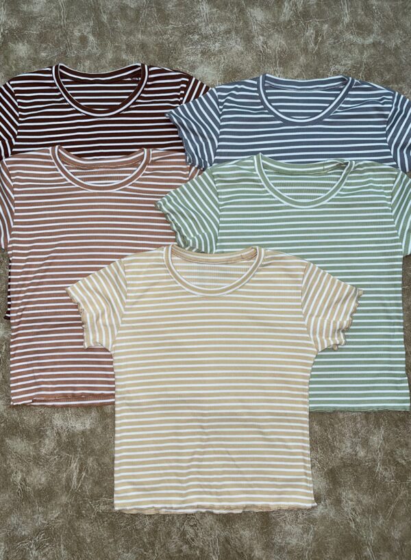 Remera Rayada color con blanco