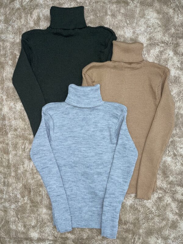 Poleras lisas